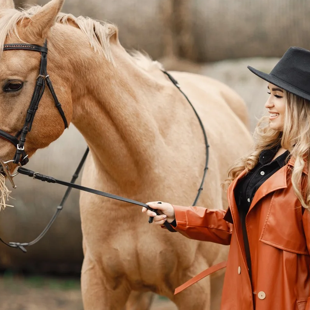 fethiye at safari turu fethiye at turu fethiye at binme turu 1