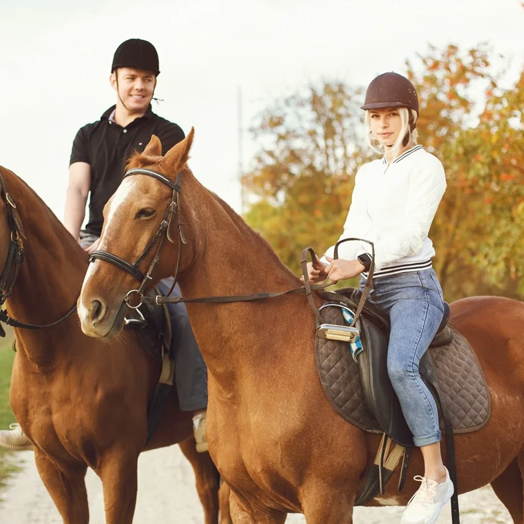 fethiye at safari turu fethiye at turu fethiye at binme turu 2