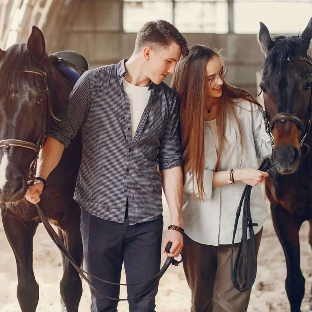 fethiye at safari turu fethiye at turu fethiye at binme turu 3