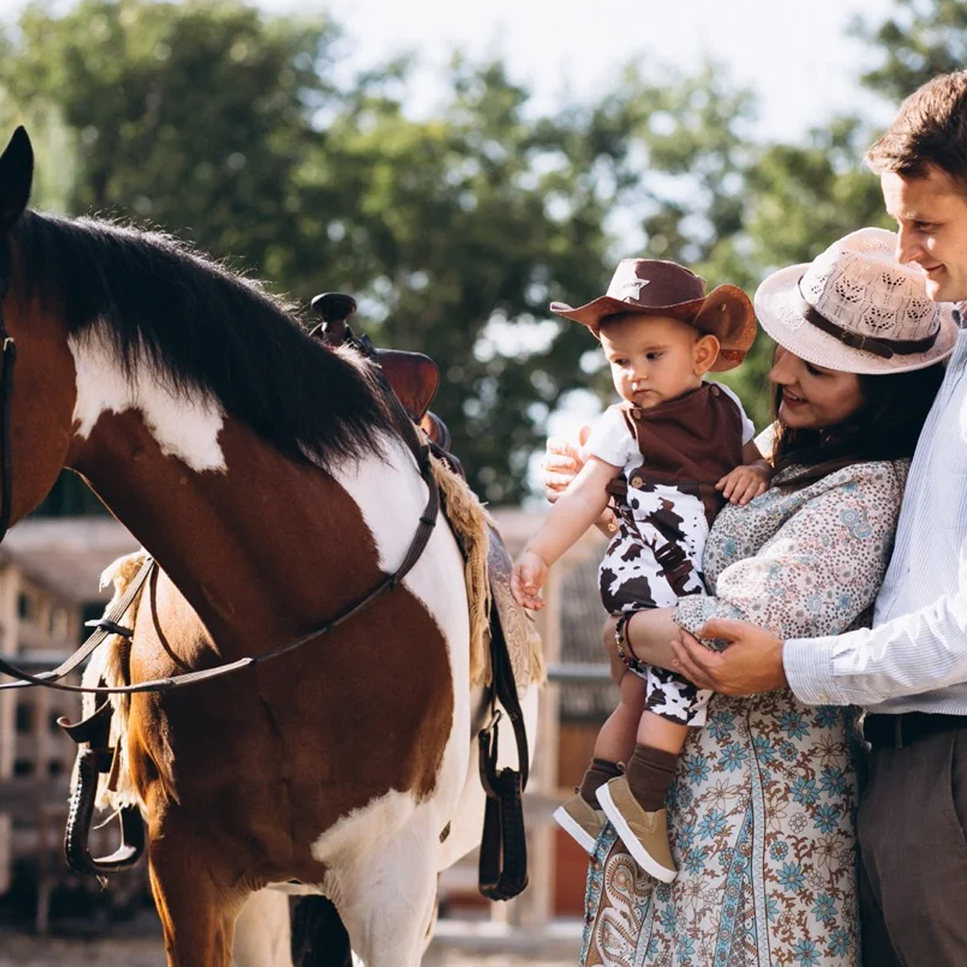 fethiye at safari turu fethiye at turu fethiye at binme turu 4