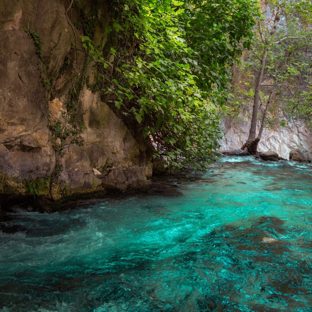 fethiye safari fiyatları fethiye jeep safari fiyatları fethiye safari turu fiyatları fethiye jeep safari turu fiyatları fethiye jeep safari en iyi firma fethiye safari en iyi firma 5