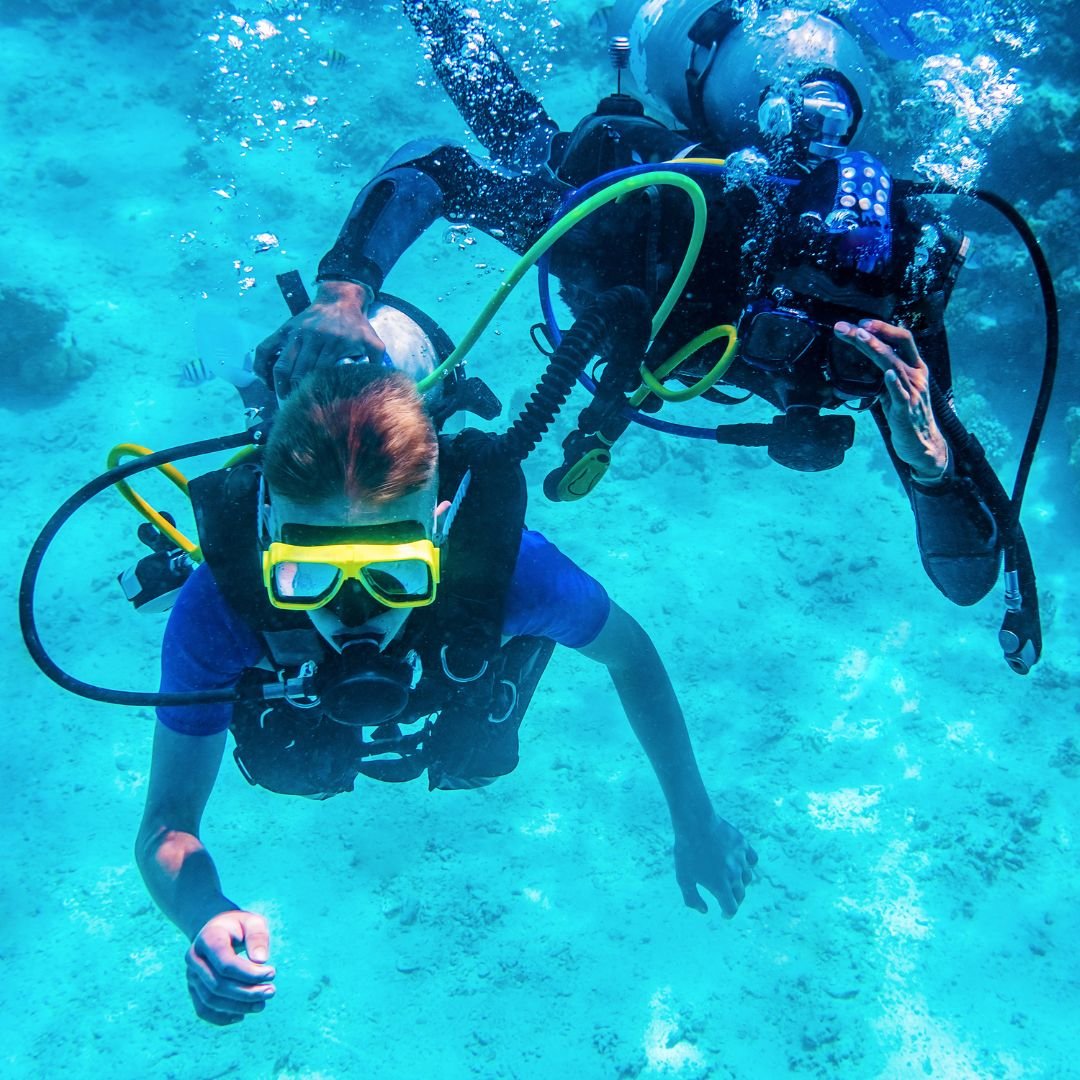 fethiye tüplü dalış fiyatları fethiye dalış fiyatları ölüdeniz tüplü dalış fiyatları ölüdeniz dalış fiyatları fethiye tüplü dalış en iyi firma fethiye dalış en iyi firma 4